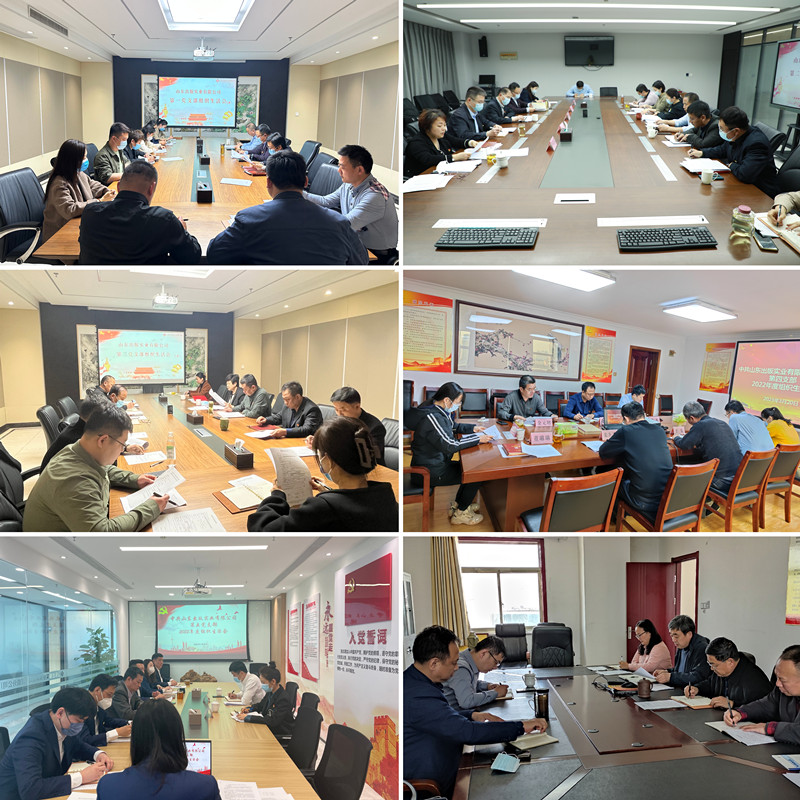 實(shí)業(yè)公司各黨支部圓滿完成2022年度組織生活會和民主評議黨員工作