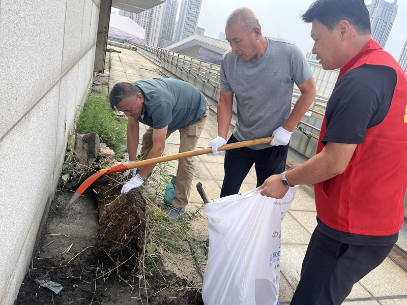 煙臺(tái)分公司黨支部開(kāi)展“清除樓頂雜草、消除安全隱患”主題活動(dòng)